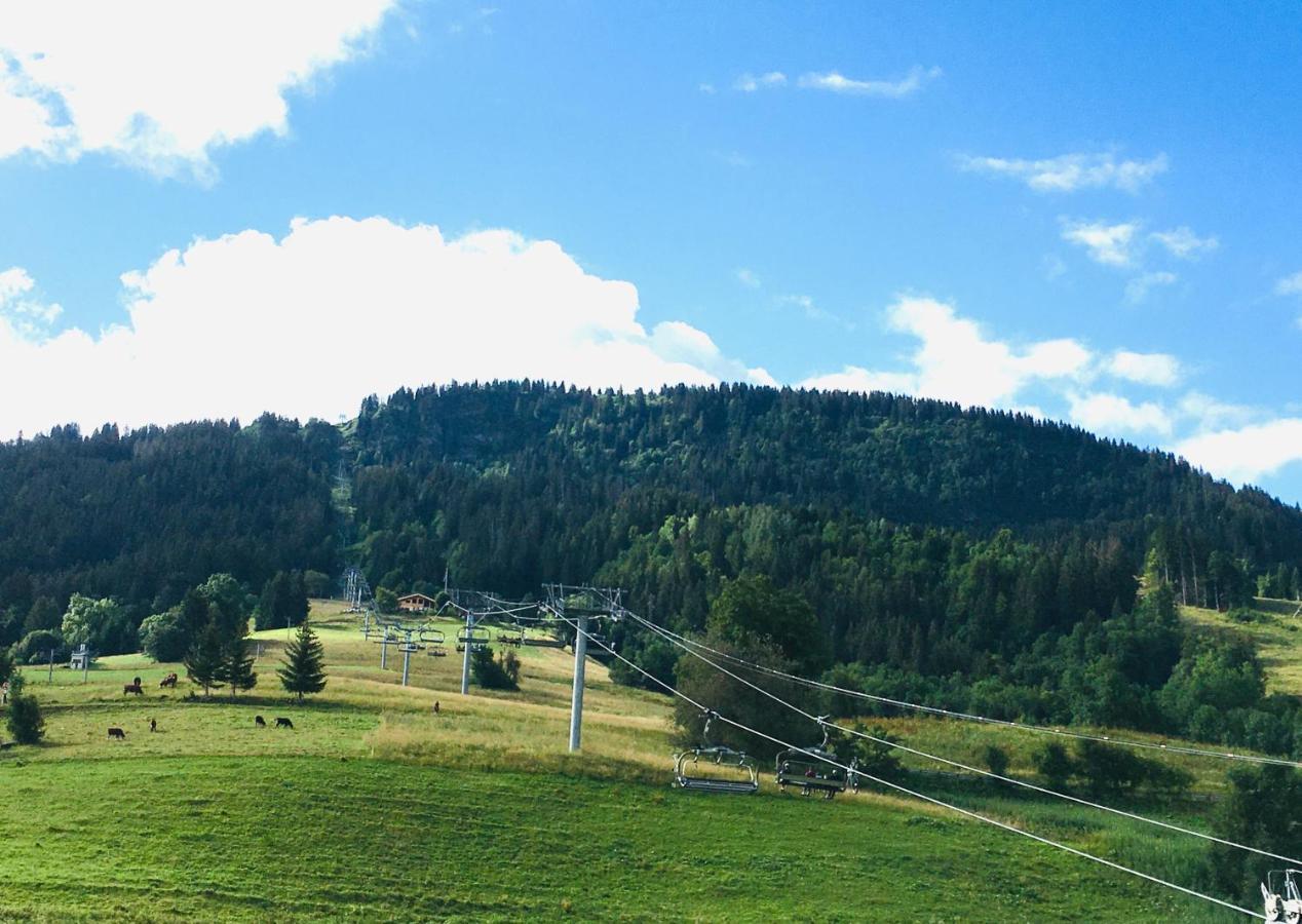Appartamento Le Nantoran Praz-sur-Arly Esterno foto